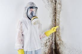 Best Attic Mold Removal  in Greentree, NJ